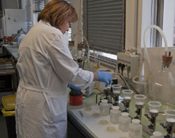 Operatrice ARPAT del laboratorio di biologia lavora su alcuni campioni di acque marine per determinarne l'idoneità alla balneazione