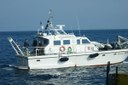 Monitoraggio Costa Concordia - aggiornamento del 2 marzo