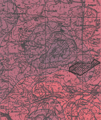mappa bioaccumulo 1996